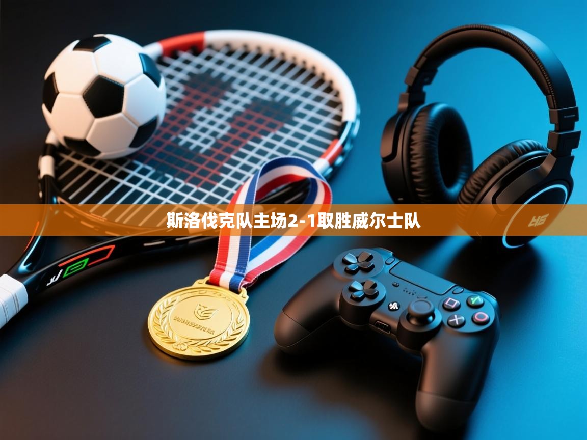 斯洛伐克队主场2-1取胜威尔士队  第2张