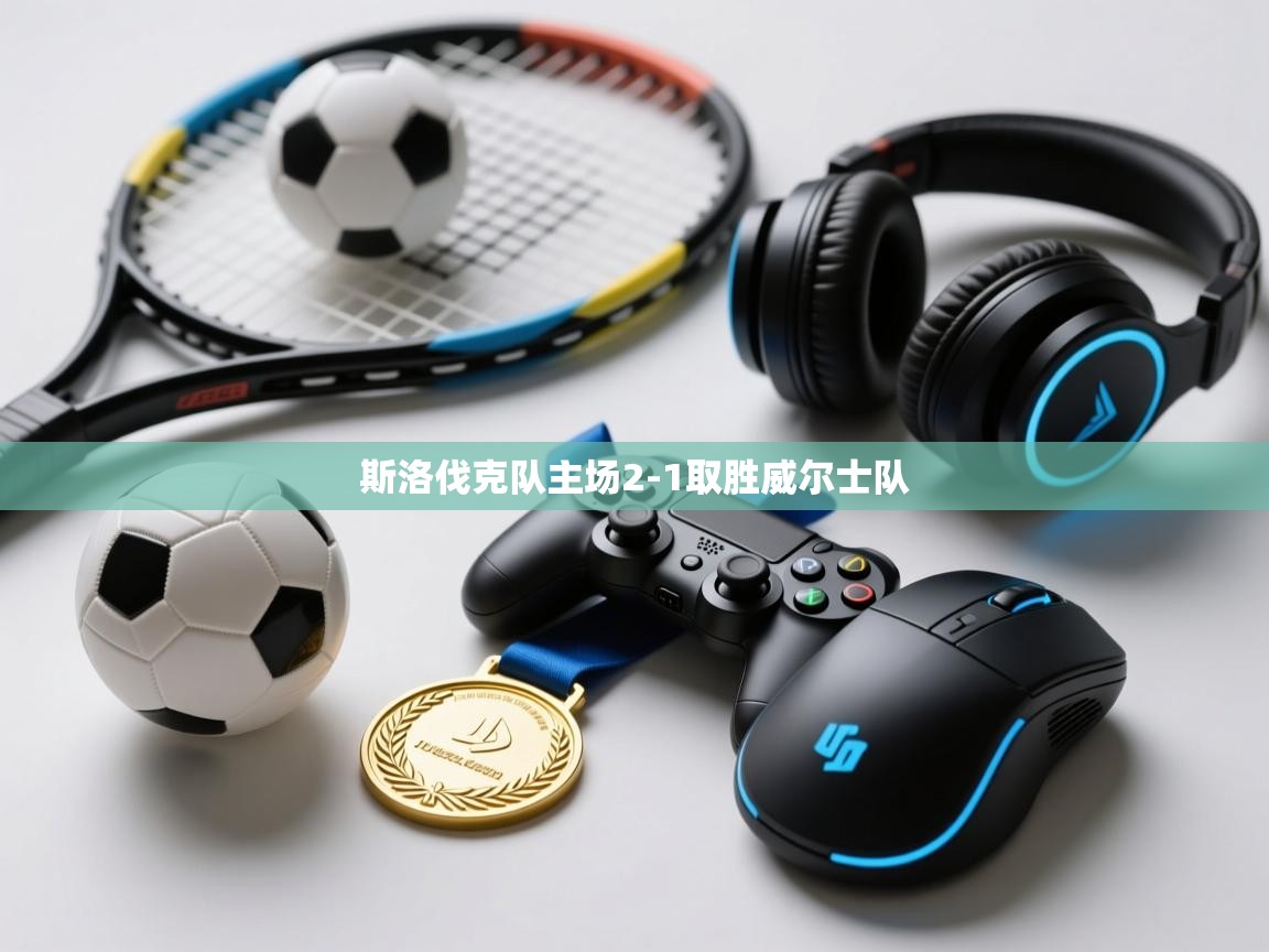 斯洛伐克队主场2-1取胜威尔士队  第1张