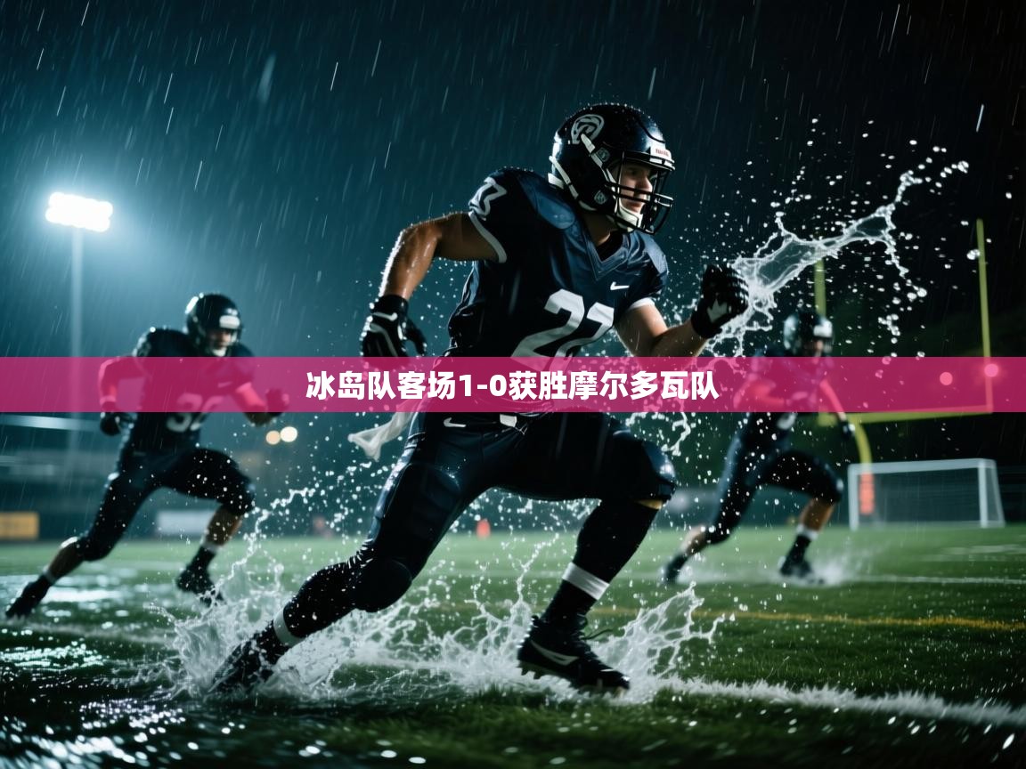 冰岛队客场1-0获胜摩尔多瓦队  第2张