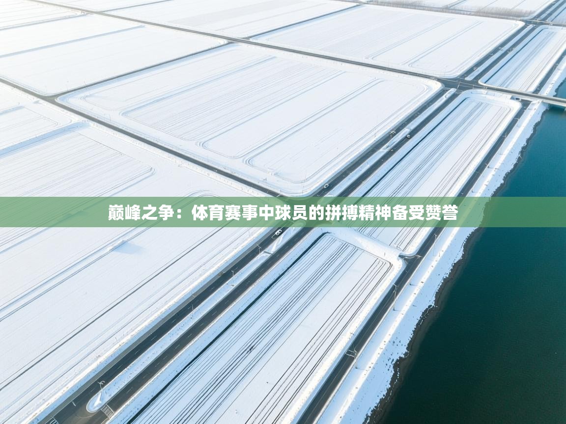 巅峰之争：体育赛事中球员的拼搏精神备受赞誉