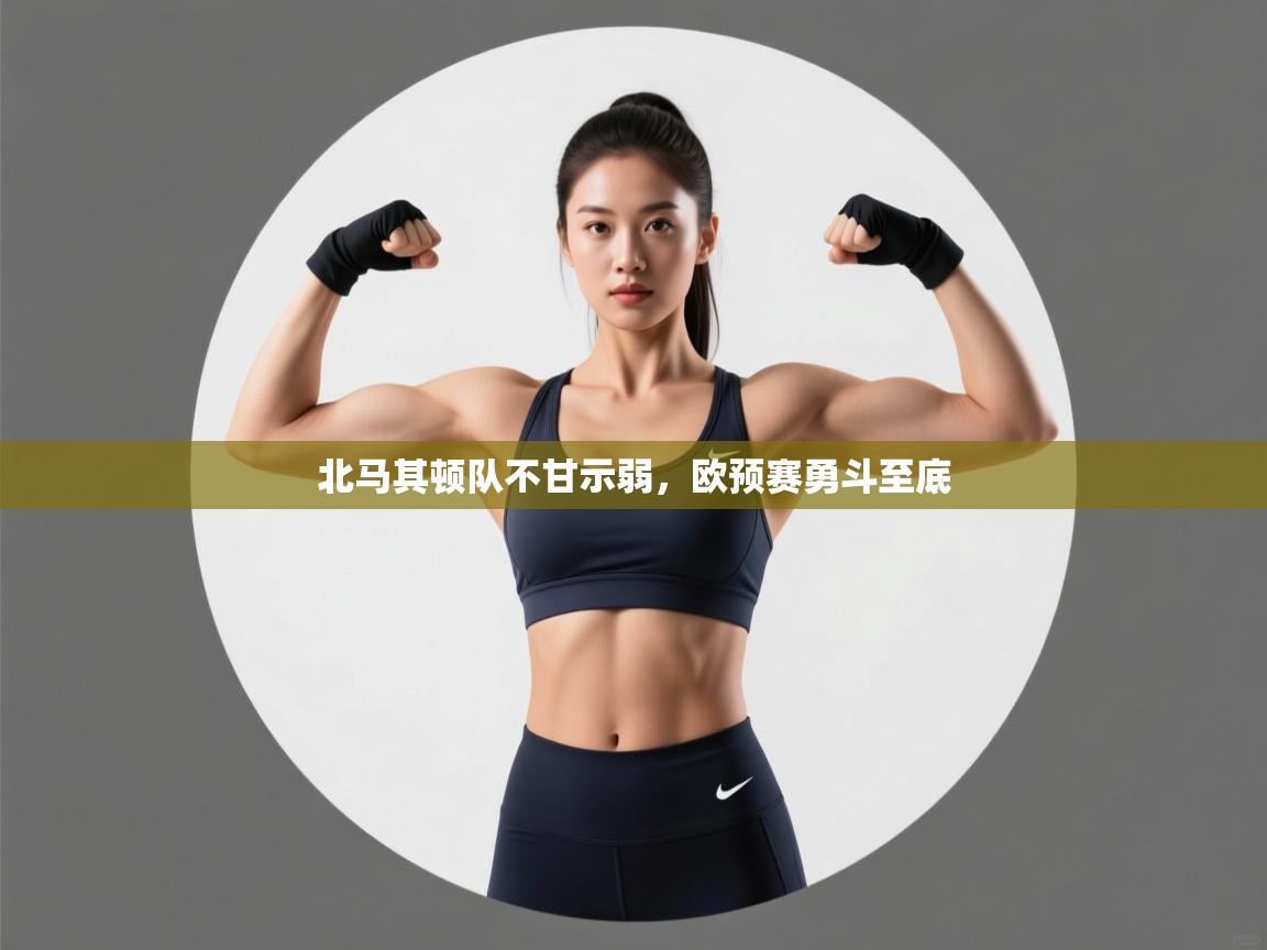 北马其顿队不甘示弱，欧预赛勇斗至底