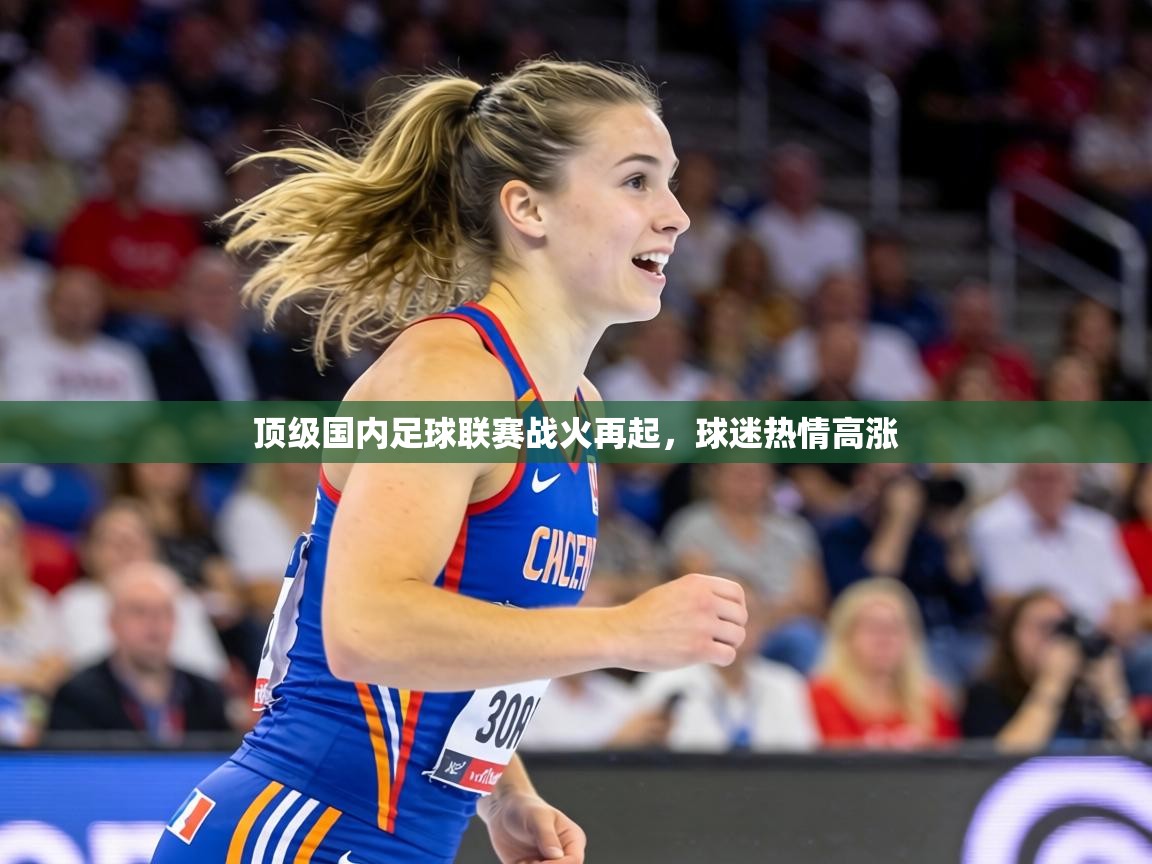 顶级国内足球联赛战火再起，球迷热情高涨  第2张