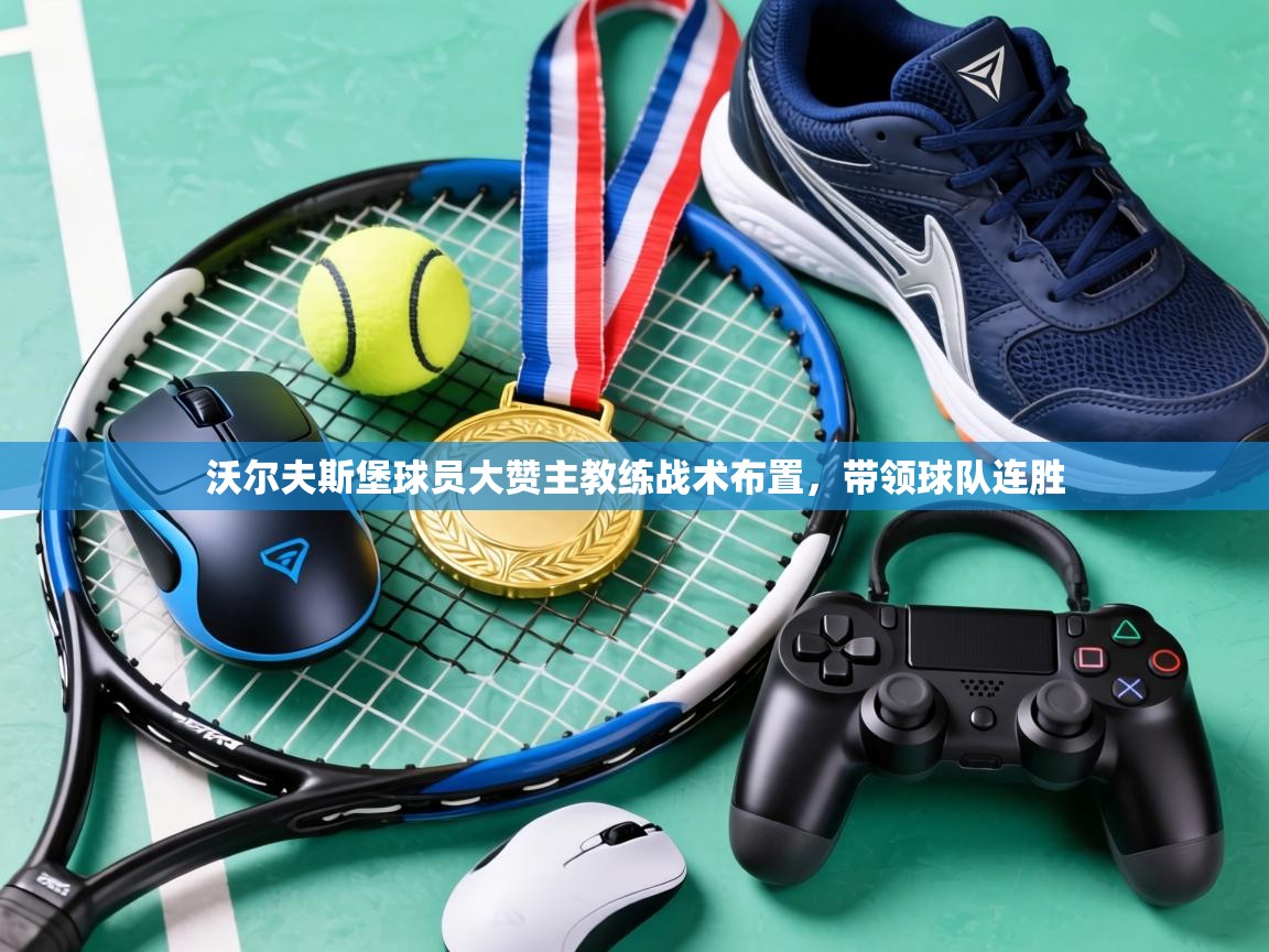 沃尔夫斯堡球员大赞主教练战术布置,带领球队连胜 第1张