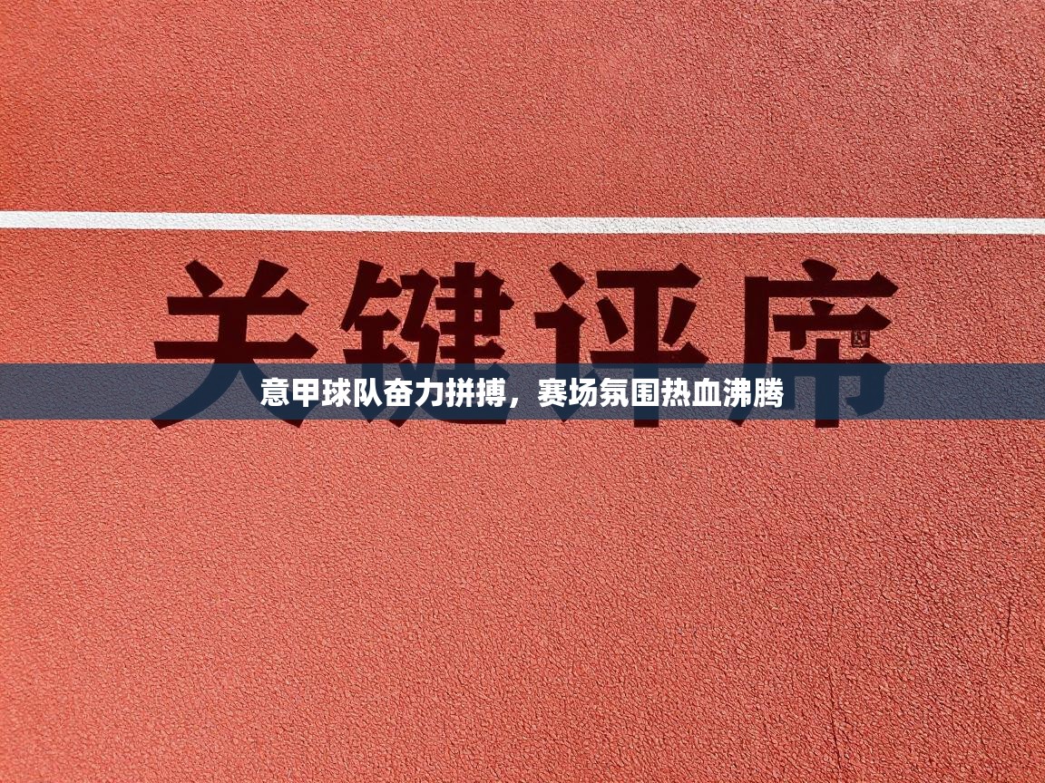 意甲球队奋力拼搏，赛场氛围热血沸腾  第2张